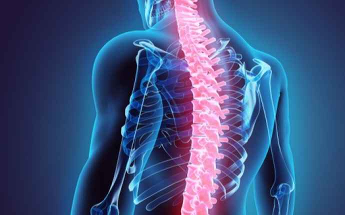 Hvordan er ryggen opbygget?